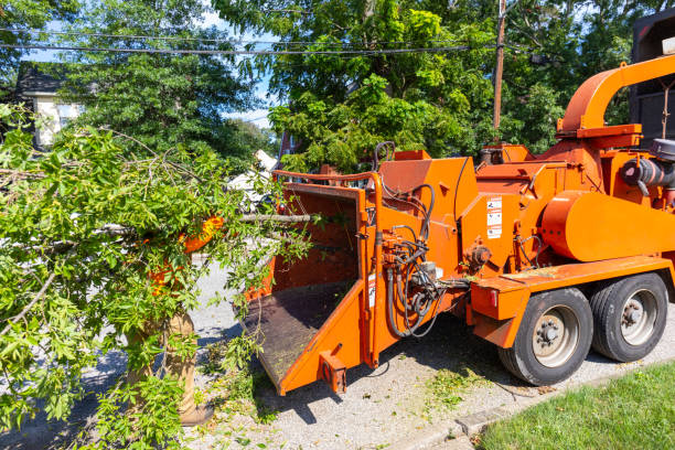 Tree Removal for Businesses in Fairland, OK